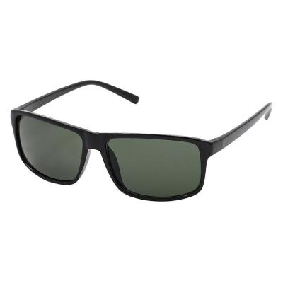 CRISS POLARIZED 044270-PV